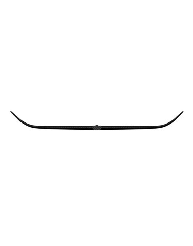 210 Back Wing