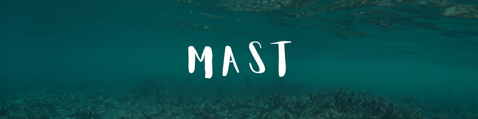 Mast